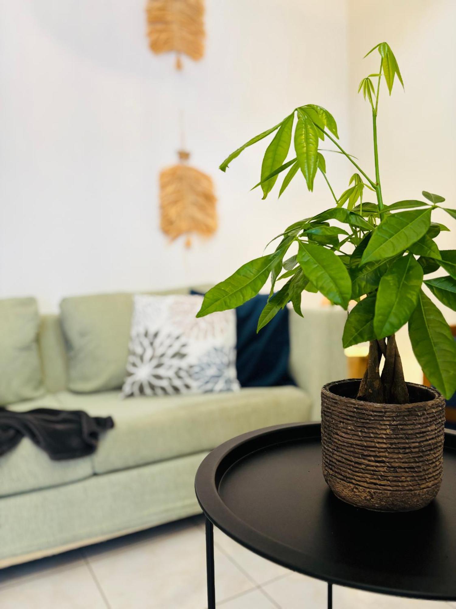 Appartement Sofitaki à Argostóli Extérieur photo